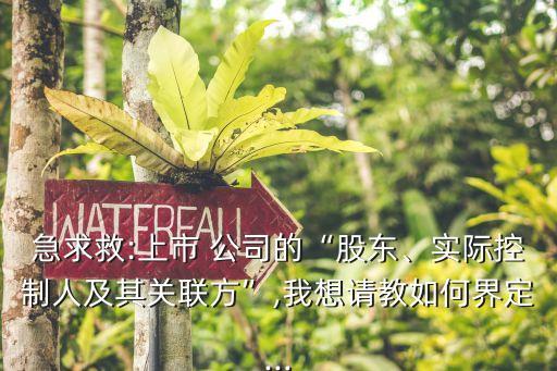 急求救:上市 公司的“股東、實際控制人及其關(guān)聯(lián)方”,我想請教如何界定...