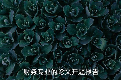  財務專業(yè)的論文開題報告