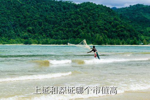 上證和深證哪個市值高