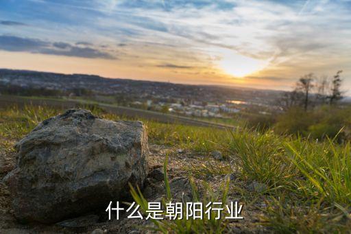 什么是朝陽(yáng)行業(yè)