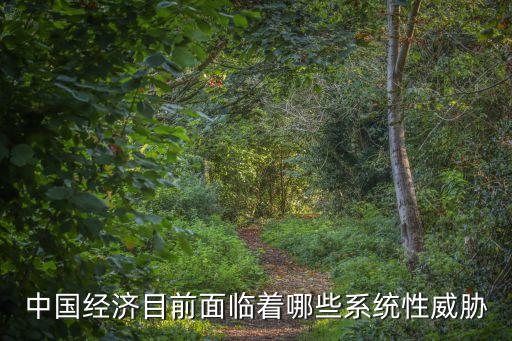 中國經(jīng)濟目前面臨著哪些系統(tǒng)性威脅