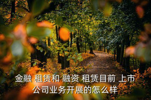 金融 租賃和 融資 租賃目前 上市公司業(yè)務(wù)開展的怎么樣