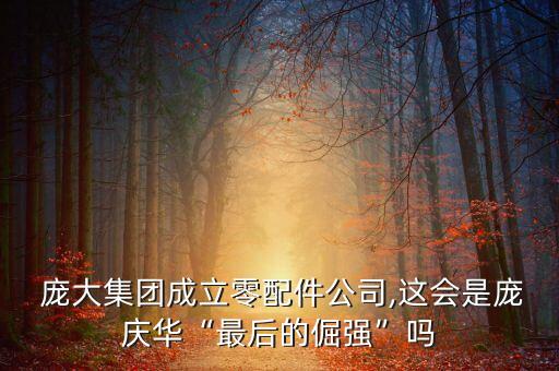  龐大集團(tuán)成立零配件公司,這會是龐慶華“最后的倔強(qiáng)”嗎