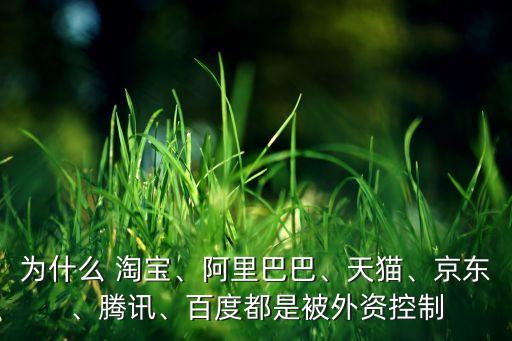 為什么 淘寶、阿里巴巴、天貓、京東、騰訊、百度都是被外資控制