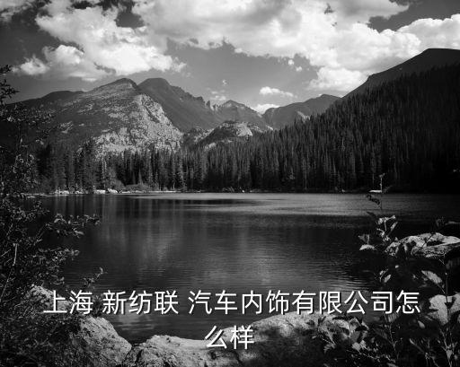  上海 新紡聯(lián) 汽車內飾有限公司怎么樣
