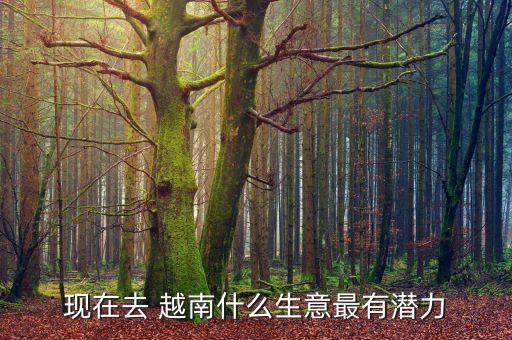 中國在越南的投資項(xiàng)目,中國太平投資項(xiàng)目