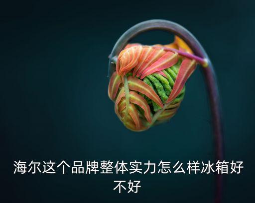  海爾這個品牌整體實力怎么樣冰箱好不好