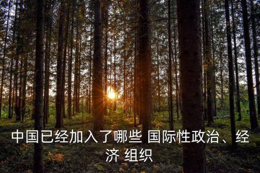 中國(guó)已經(jīng)加入了哪些 國(guó)際性政治、經(jīng)濟(jì) 組織