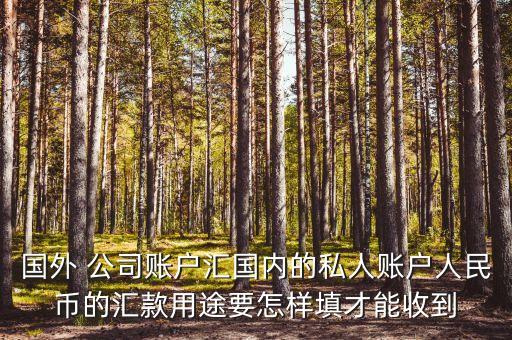 國外 公司賬戶匯國內的私人賬戶人民幣的匯款用途要怎樣填才能收到