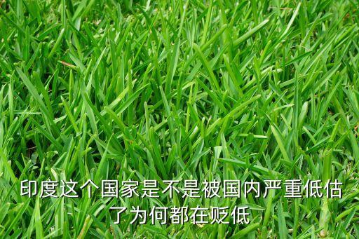  印度這個(gè)國(guó)家是不是被國(guó)內(nèi)嚴(yán)重低估了為何都在貶低