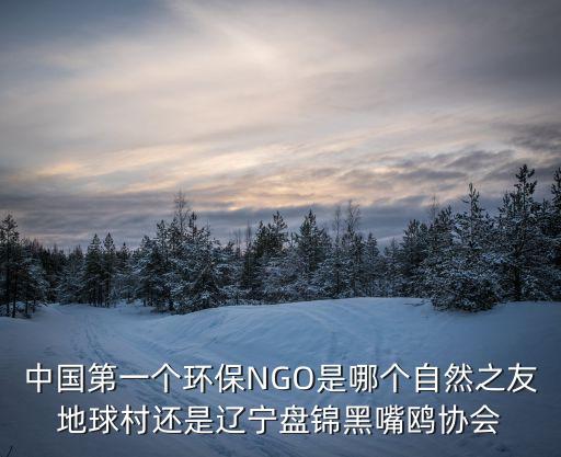 中國第一個(gè)環(huán)保NGO是哪個(gè)自然之友地球村還是遼寧盤錦黑嘴鷗協(xié)會
