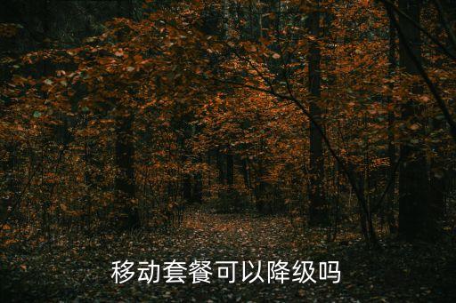 移動(dòng)套餐可以降級嗎