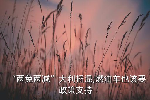 巴基斯坦的新能源投資政策