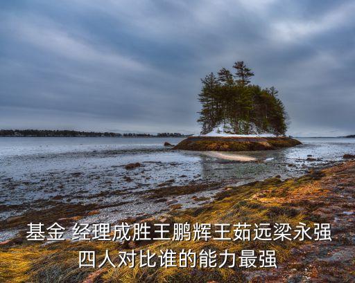  基金 經(jīng)理成勝王鵬輝王茹遠(yuǎn)梁永強(qiáng)四人對比誰的能力最強(qiáng)