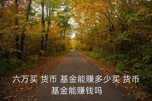 六萬(wàn)買 貨幣 基金能賺多少買 貨幣 基金能賺錢嗎