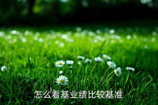 怎么看基業(yè)績比較基準(zhǔn)