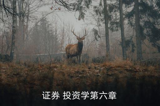 證券 投資學(xué)第六章