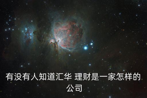 有沒有人知道匯華 理財(cái)是一家怎樣的 公司