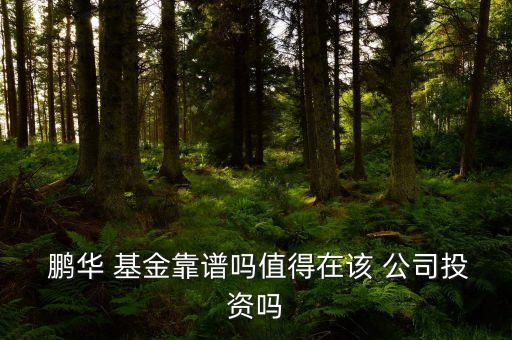 鵬華基金公司網(wǎng)站,基金公司網(wǎng)站買(mǎi)基金手續(xù)費(fèi)