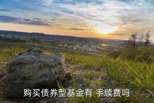 購(gòu)買債券型基金有 手續(xù)費(fèi)嗎