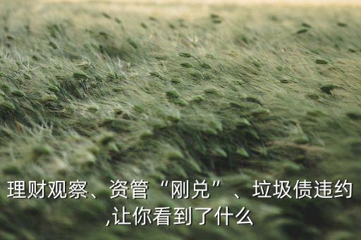 理財觀察、資管“剛兌”、垃圾債違約,讓你看到了什么