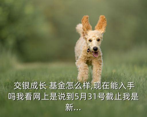  交銀成長(zhǎng) 基金怎么樣,現(xiàn)在能入手嗎我看網(wǎng)上是說到5月31號(hào)截止我是新...