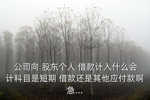 公司借款給股東的賬務處理,股東借款轉(zhuǎn)為實收資本的賬務處理