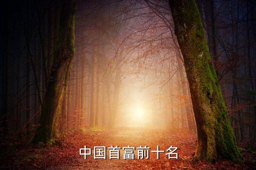中國(guó)首富前十名