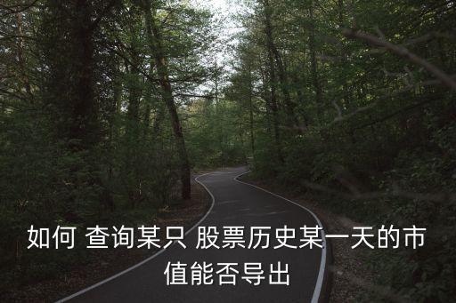 如何 查詢某只 股票歷史某一天的市值能否導出