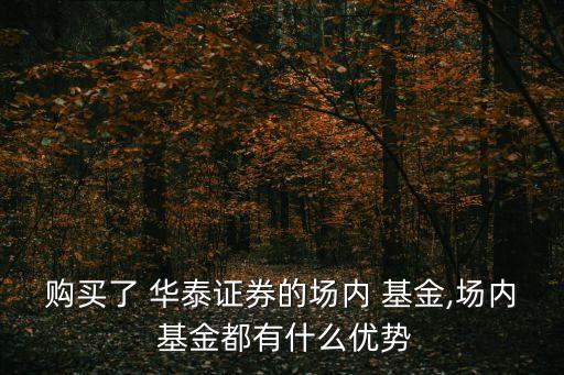 購(gòu)買(mǎi)了 華泰證券的場(chǎng)內(nèi) 基金,場(chǎng)內(nèi) 基金都有什么優(yōu)勢(shì)