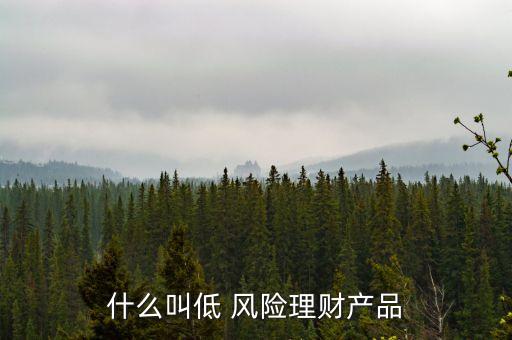 什么叫低 風(fēng)險理財產(chǎn)品
