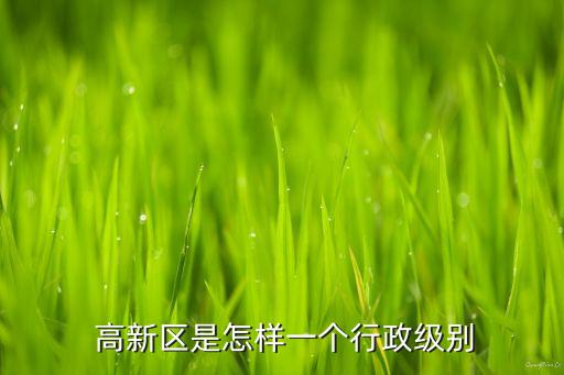  高新區(qū)是怎樣一個行政級別