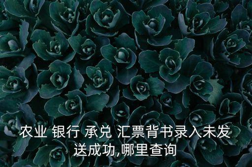 農(nóng)業(yè) 銀行 承兌 匯票背書(shū)錄入未發(fā)送成功,哪里查詢