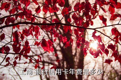  工商 銀行信用卡年費是多少