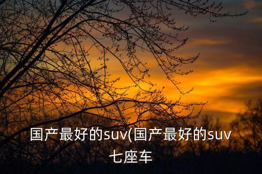 國(guó)產(chǎn)最好的suv(國(guó)產(chǎn)最好的suv七座車