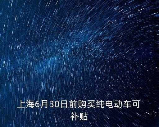  上海6月30日前購買純電動車可 補貼