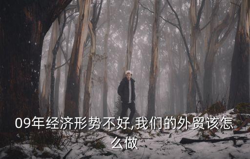 09年經(jīng)濟(jì)形勢(shì)不好,我們的外貿(mào)該怎么做