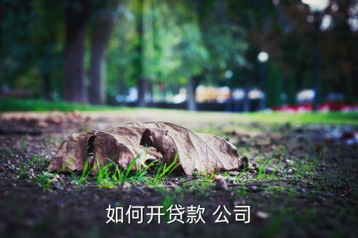 如何開(kāi)貸款 公司