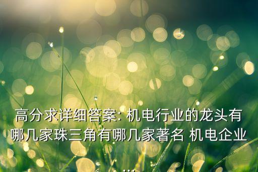 高分求詳細答案: 機電行業(yè)的龍頭有哪幾家珠三角有哪幾家著名 機電企業(yè)...