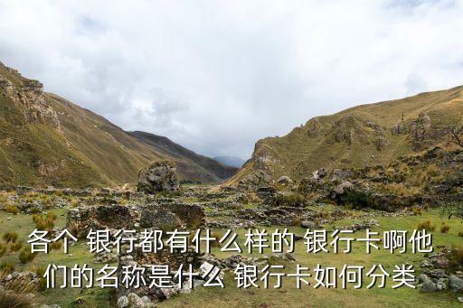 各個 銀行都有什么樣的 銀行卡啊他們的名稱是什么 銀行卡如何分類
