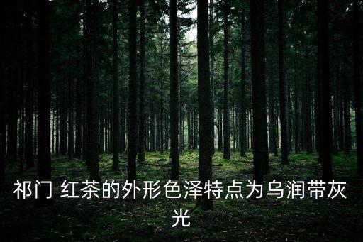 祁門 紅茶的外形色澤特點為烏潤帶灰光