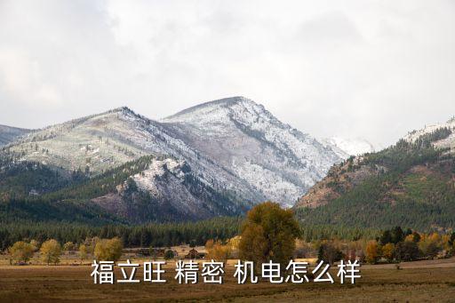 福立旺 精密 機(jī)電怎么樣