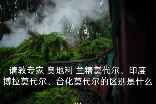請(qǐng)教專家 奧地利 蘭精莫代爾、印度博拉莫代爾、臺(tái)化莫代爾的區(qū)別是什么...
