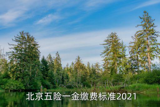  北京五險一金繳費(fèi)標(biāo)準(zhǔn)2021