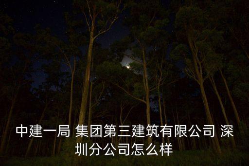 中建一局 集團第三建筑有限公司 深圳分公司怎么樣