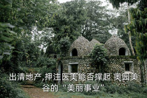 出清地產,押注醫(yī)美能否撐起 奧園美谷的“美麗事業(yè)”