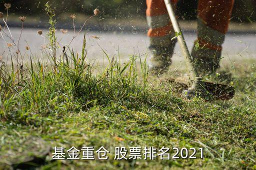 基金重倉(cāng) 股票排名2021