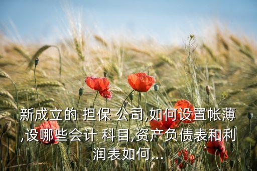 新成立的 擔(dān)保 公司,如何設(shè)置帳薄,設(shè)哪些會計 科目,資產(chǎn)負(fù)債表和利潤表如何...