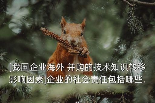 [我國(guó)企業(yè)海外 并購(gòu)的技術(shù)知識(shí)轉(zhuǎn)移影響因素]企業(yè)的社會(huì)責(zé)任包括哪些...