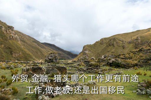 外貿(mào),金融, 獵頭哪個工作更有前途工作,做老板,還是出國移民